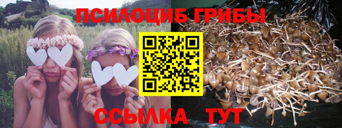 Псилоцибиновые грибы MAGIC MUSHROOMS  Вход с VPN  Бугуруслан 